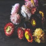 中国老太婆GRDNNYTUBE 4p41kyg01s